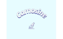 肌肽補充劑或可改善年輕群體認知